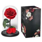 Παντοτινό τριαντάφυλλο σε γυάλα