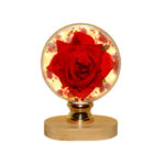 Φωτιζόμενη Σφαίρα με Υφασμάτινο Τριαντάφυλλο