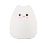 CACTUS ΦΩΤΑΚΙ ΝΥΚΤΟΣ ΓΑΤΑ